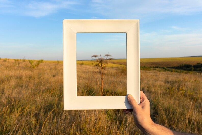 Professional Portrait Photography Unveiling The Pristine Art