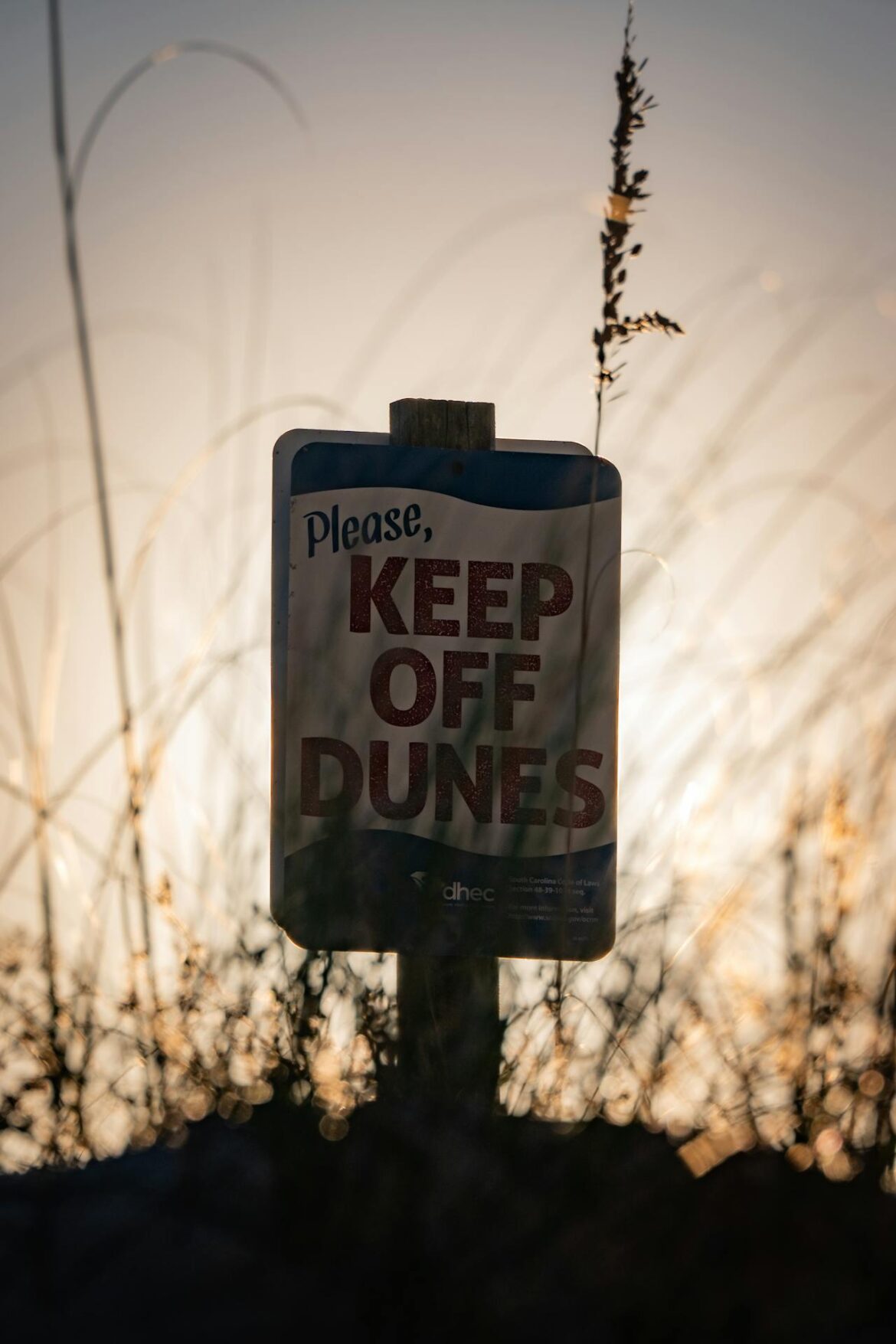 Rules of Photography