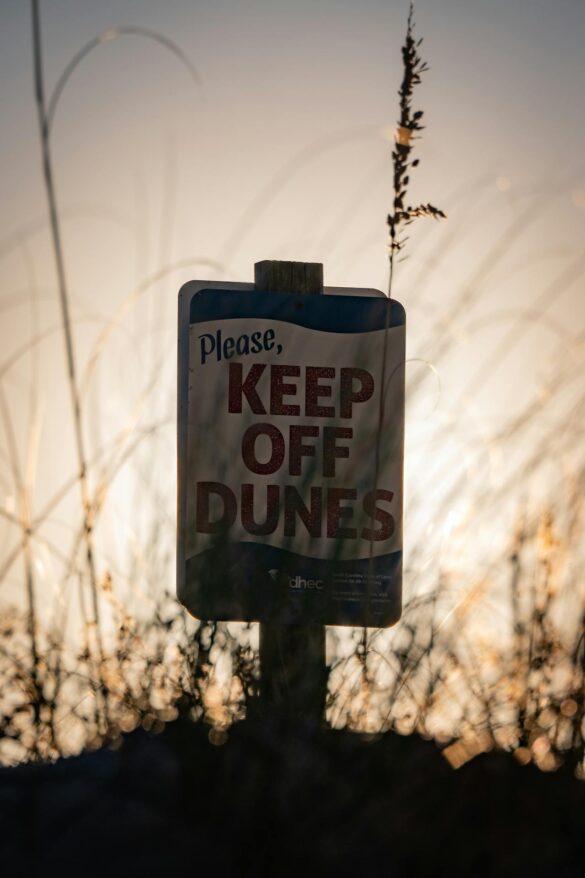 Rules of Photography